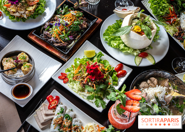 Didi Saigon, le restaurant vietnamien de Villiers sur Marne (94) -  A7C9327