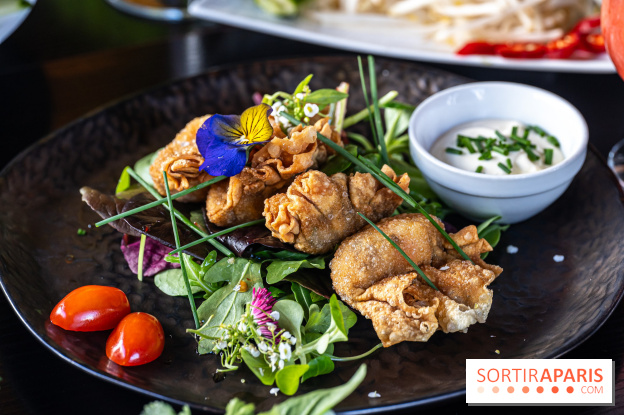 Didi Saigon, le restaurant vietnamien de Villiers sur Marne (94) -  raviolis aux crevettes