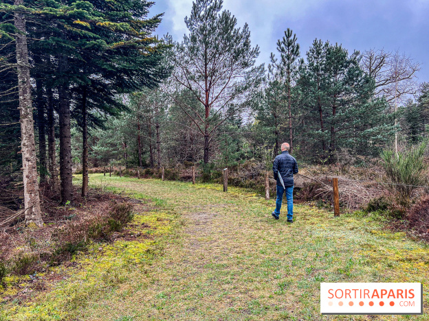Arbor&Sens, l'Arboretum de Franchard en forêt de Fontainebleau - les photos - IMG 7913