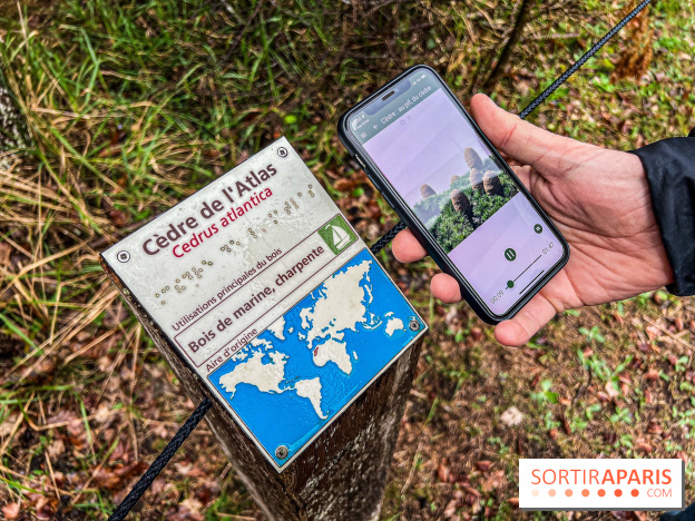 Arbor&Sens, l'Arboretum de Franchard en forêt de Fontainebleau - les photos