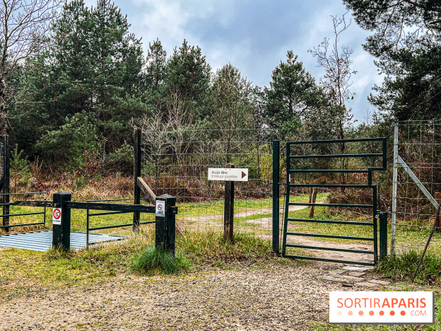 Arbor&Sens, l'Arboretum de Franchard en forêt de Fontainebleau - les photos