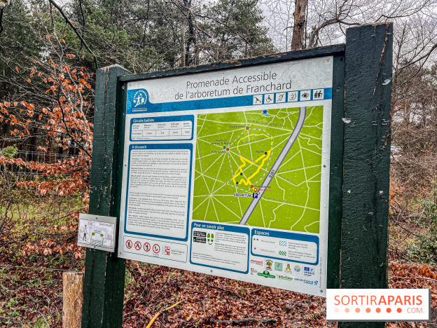Arbor&Sens, l'Arboretum de Franchard en forêt de Fontainebleau - les photos - IMG 7897