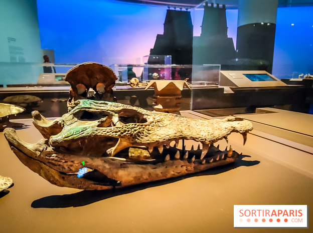 Mexica, des dons et des dieux au Templo Major : l'exposition du musée du Quai Branly se dévoile - IMG20240402105318