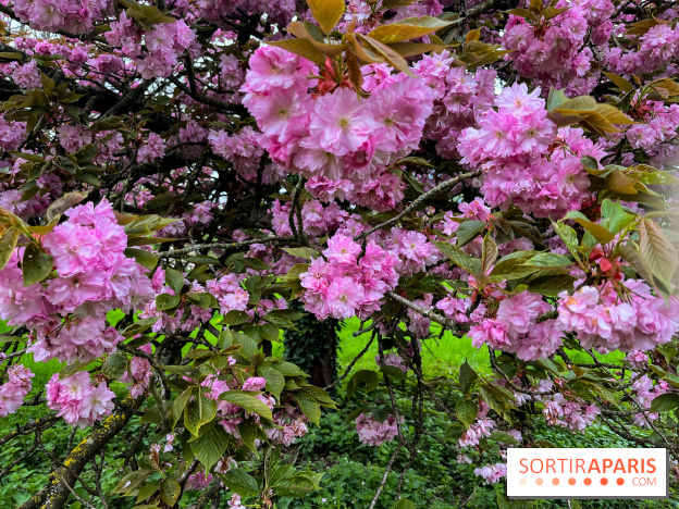 Arboretum de Paris - nos photos - image00035