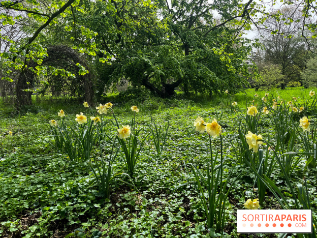 Arboretum de Paris - nos photos - image00029
