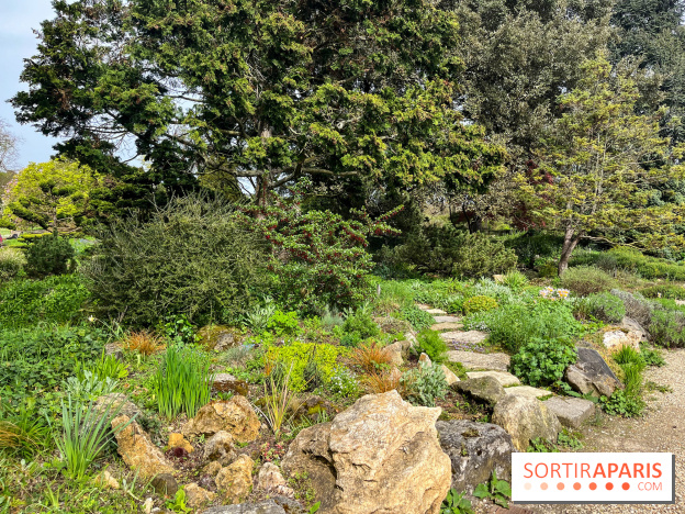 Jardin de l'Ecole du Breuil - nos photos
