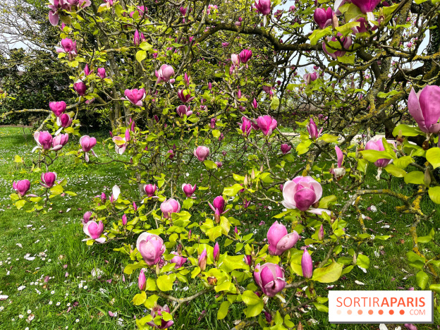 Jardin de l'Ecole du Breuil - nos photos