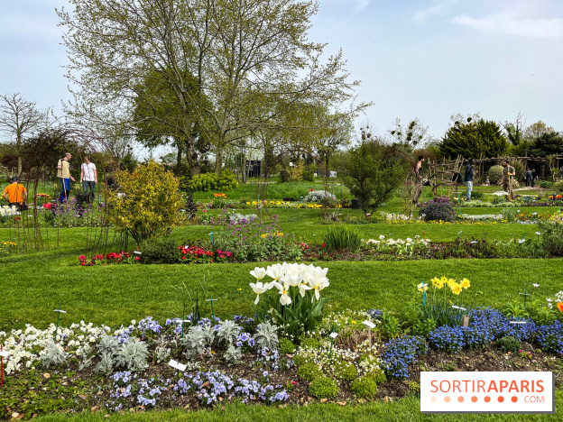 Jardin de l'Ecole du Breuil - nos photos - image00006