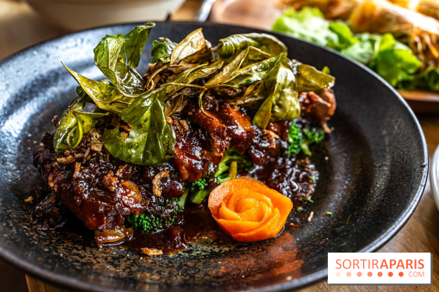 Q Bar, le bistrot et restaurant Thaïlandais à Paris - canard au tamarin