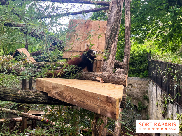 Ménagerie du Jardin des Plantes 2024 - nos photos - image00003