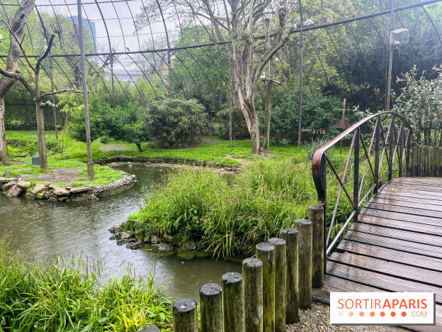 Ménagerie du Jardin des Plantes 2024 - nos photos