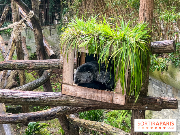 Ménagerie du Jardin des Plantes 2024 - nos photos - image00005