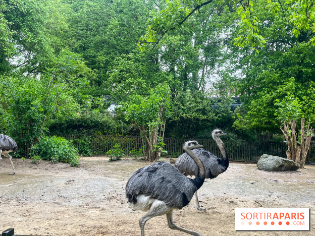 Ménagerie du Jardin des Plantes 2024 - nos photos