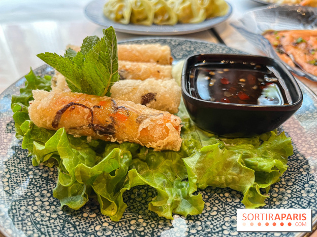 Ponzu, le restaurant de spécialités japonaises dans le 16e - image00009