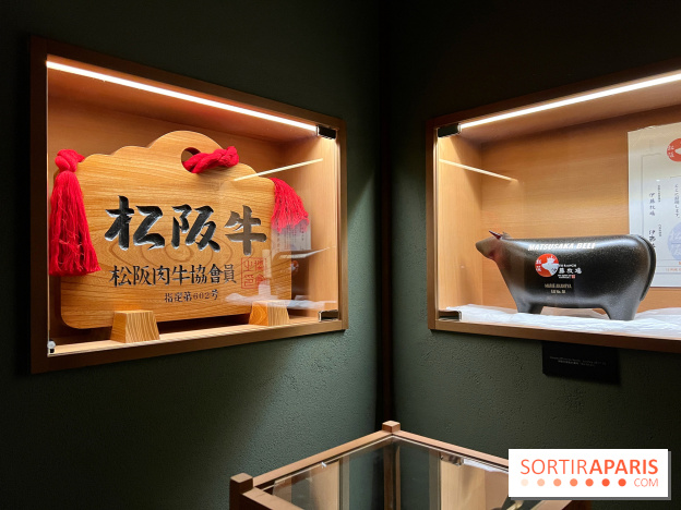 Marie Akaneya - Décoration