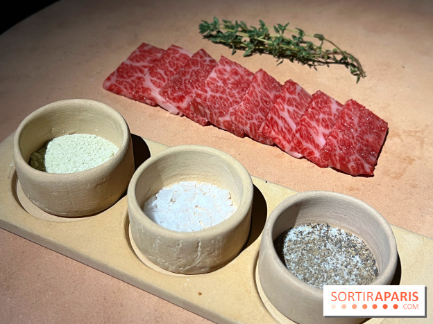 Marie Akaneya - Matsusaka Beef