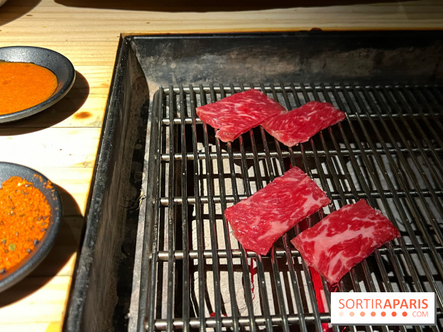 Marie Akaneya - Hampe de bœuf