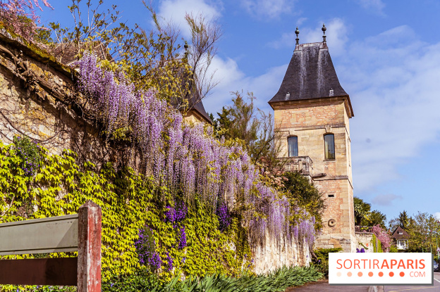 Village de Medan dans les Yvelines -  château de Medan - glycine