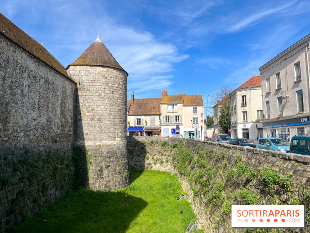 Château de Dourdan - nos photos - image00039