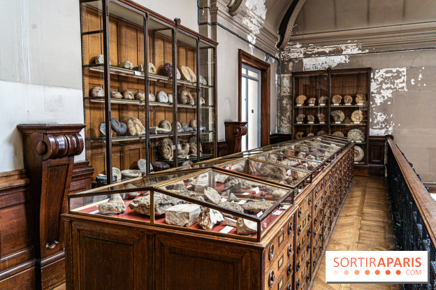 La Galerie de Paléontologie et d'Anatomie comparée du Muséum au Jardin des Plantes