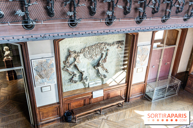 La Galerie de Paléontologie et d'Anatomie comparée du Muséum au Jardin des Plantes