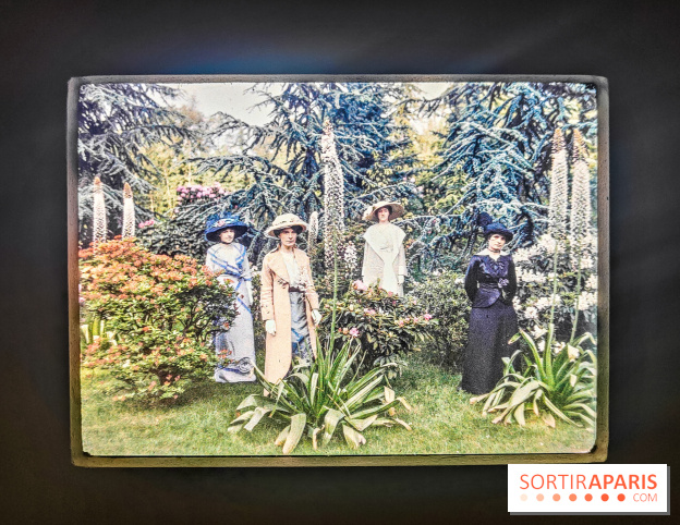 Natures vivantes : l'exposition photo qui met à l'honneur les jardins du musée Albert Kahn - photos - IMG20240429150531