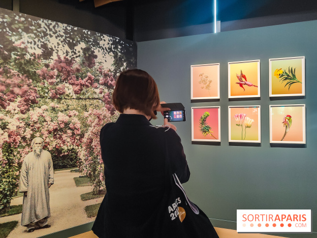 Natures vivantes : l'exposition photo qui met à l'honneur les jardins du musée Albert Kahn - photos