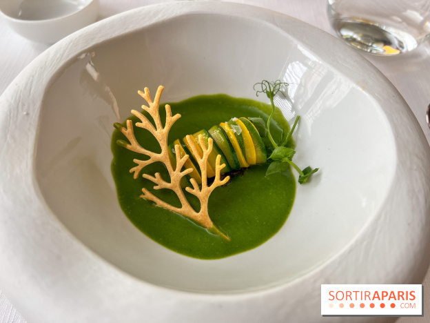 Mavrommatis : Menu Initiation - Mavrommatis