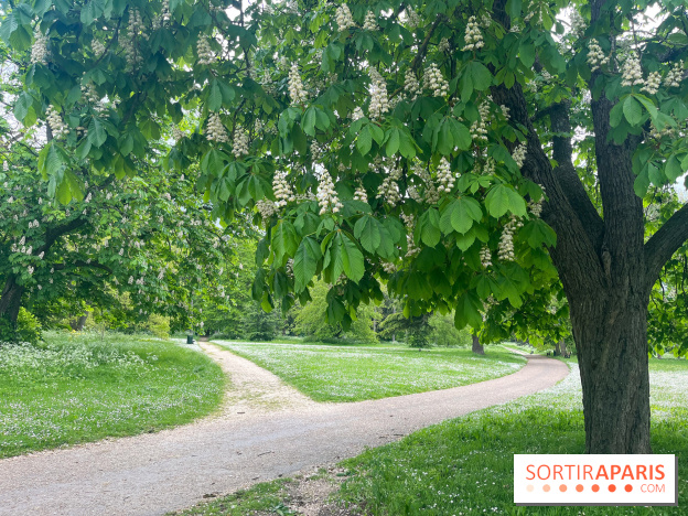 Le parc de Bois-Préau - nos photos