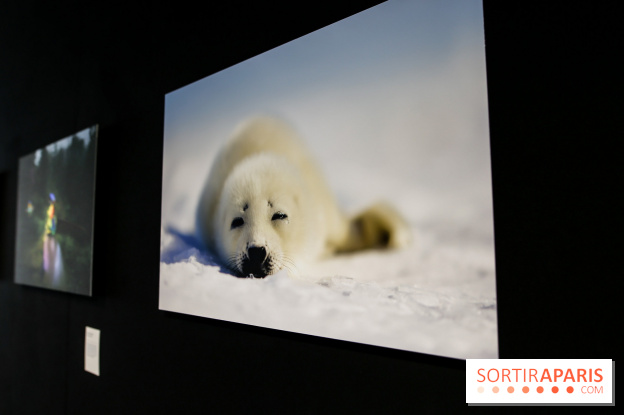Reflets de la nature, nos photos de l'exposition