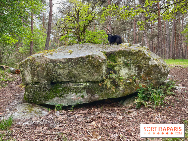 Dolmen de la Pierre Ardoue