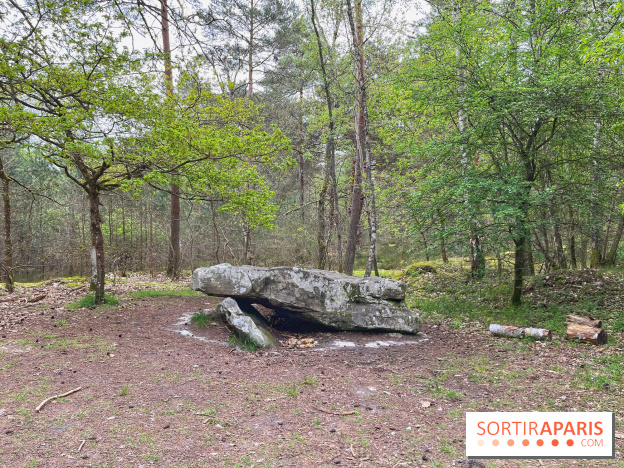 Dolmen de la Pierre Ardoue - IMG 0988