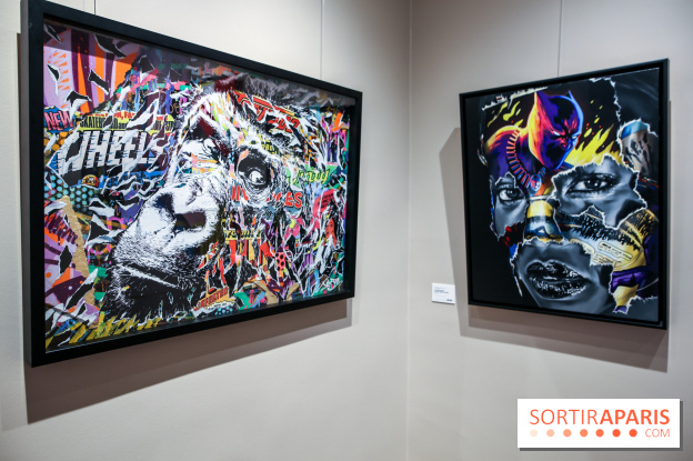 Le Décryptage de l’art de rue, nos photos de l'expo - IMG 4948