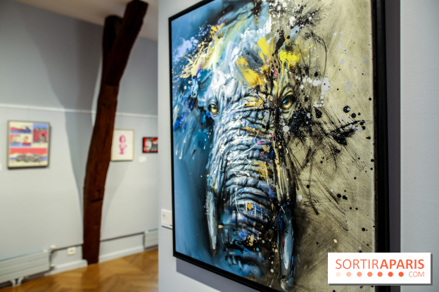 Le Décryptage de l’art de rue, nos photos de l'expo - IMG 4971