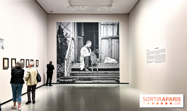 Matisse
