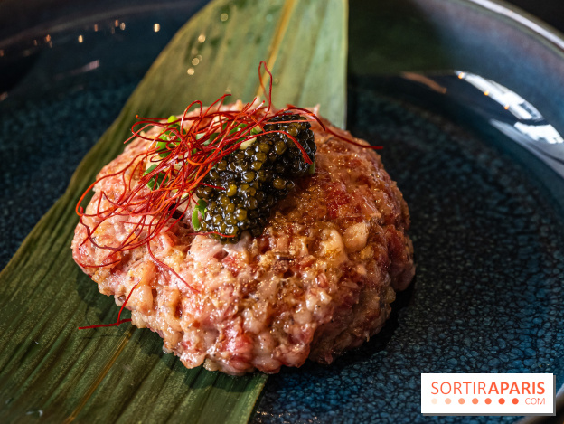 Yamato Grill, le restaurant grill japonais aux Halles - A7C3801