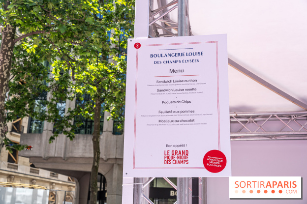 Grand pique nique des Champs-Élysées - photos