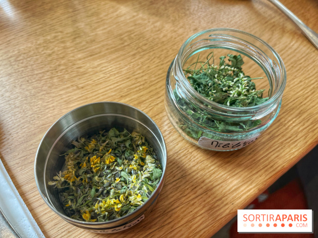 Ateliers herbes et plantes sauvages - IMG 1751 2