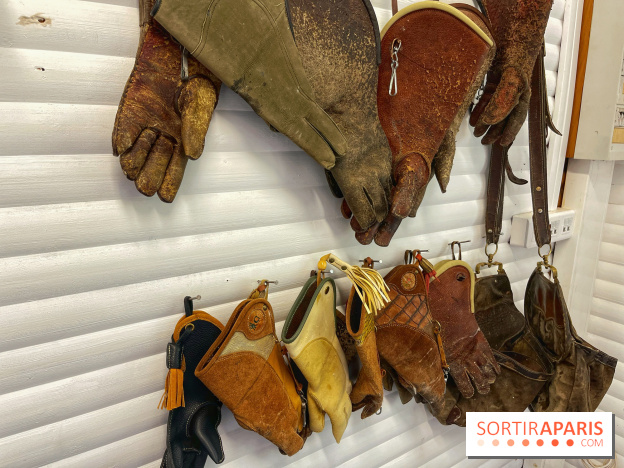 Fauconnier d'un jour - IMG 1414