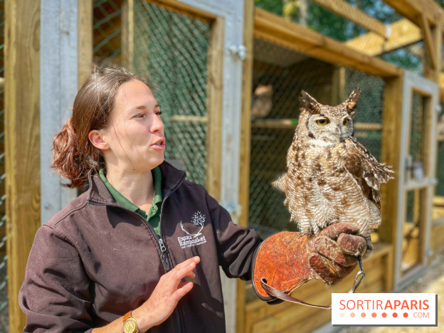 Fauconnier d'un jour - IMG 1415