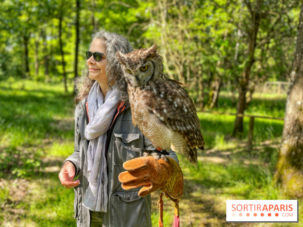 Fauconnier d'un jour - IMG 1420