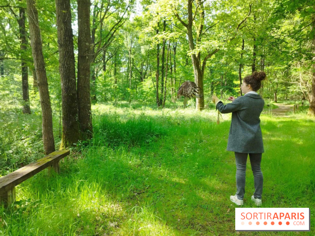 Fauconnier d'un jour - IMG 1429