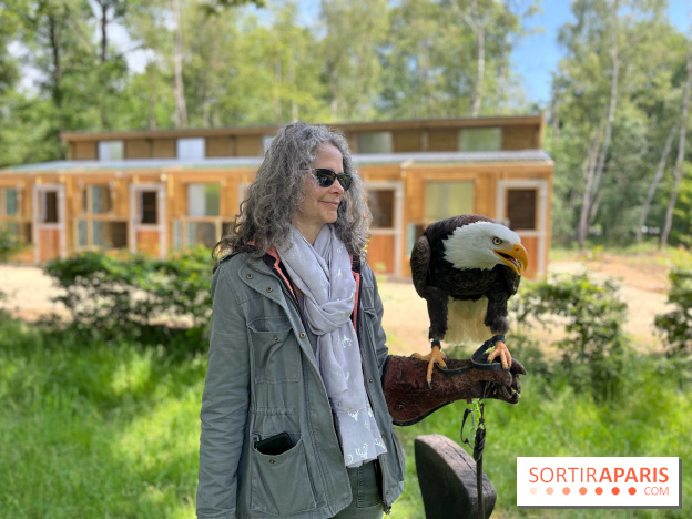 Fauconnier d'un jour - IMG 1445