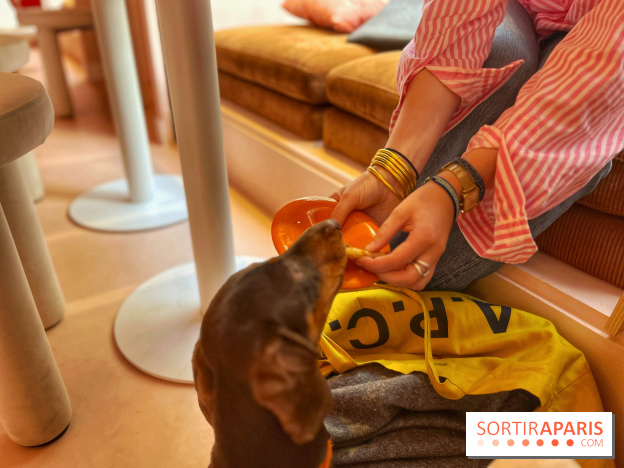 Casa del Doggo - IMG 1619