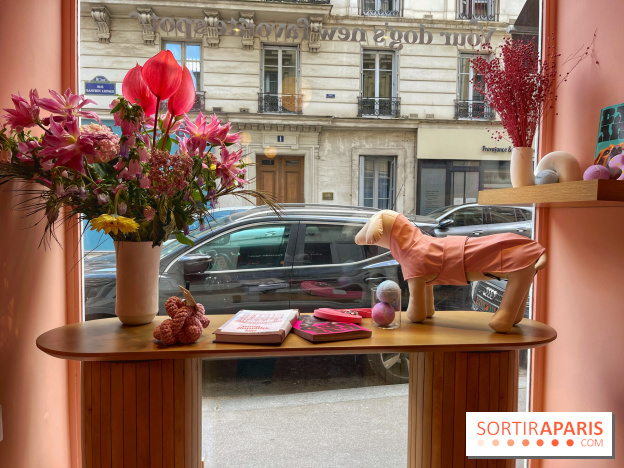 Casa del Doggo - IMG 1621