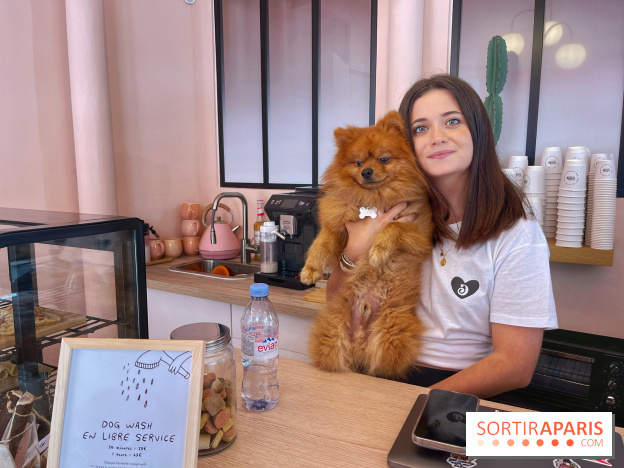 Casa del Doggo - IMG 1633