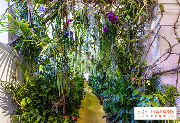 Exposition Paris à l'Hôtel de Ville - les Photos