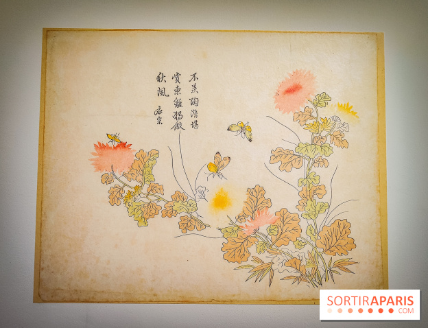 Au cœur de la couleur : l'exposition autour de la porcelaine de Chine au musée Guimet - nos photos