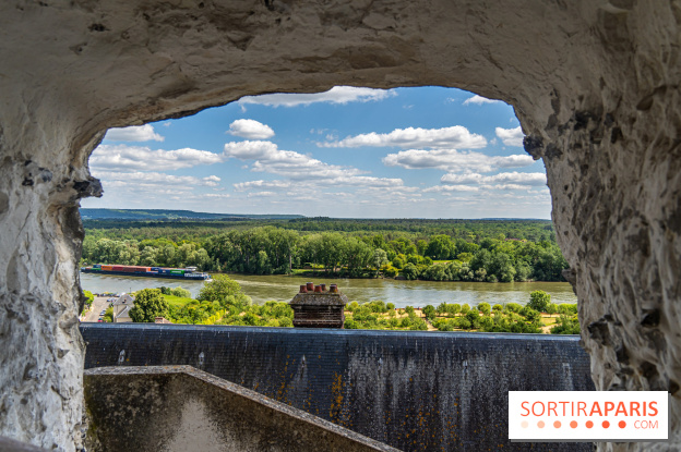 Le Château de la Roche Guyon, le château troglodyte dans le Val-d'Oise - 95 - A7C6245