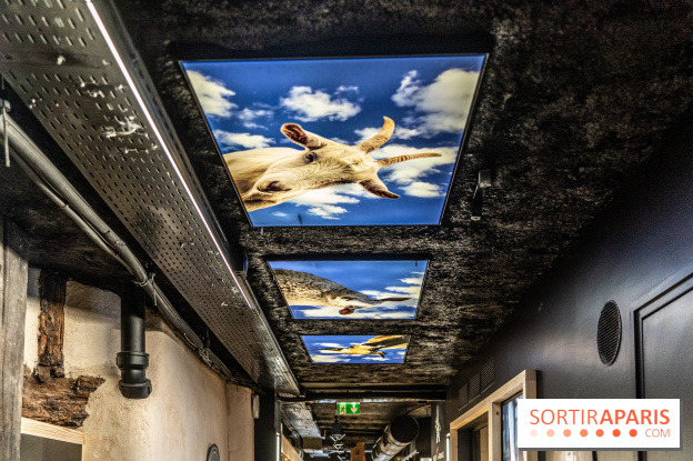 Musée du Fromage à Paris, les photos -  A7C6725